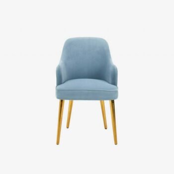 Poltrona de Acento Safavieh Dublyn